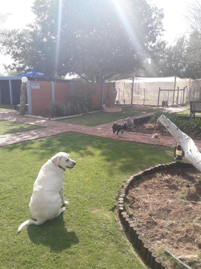 Culdesac Guesthouse Oudtshoorn Eksteriør billede